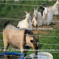 Alambre galvanizado caliente de la cerca de la granja / alambre de la ganadería de la alta calidad con precio competitivo en almacén (surtidor)